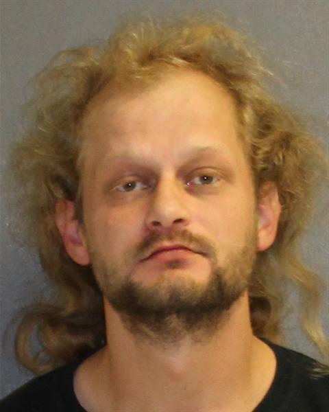 VCSO Detectives Arrest NSB Man on Charges of Possessing Child Porn Image