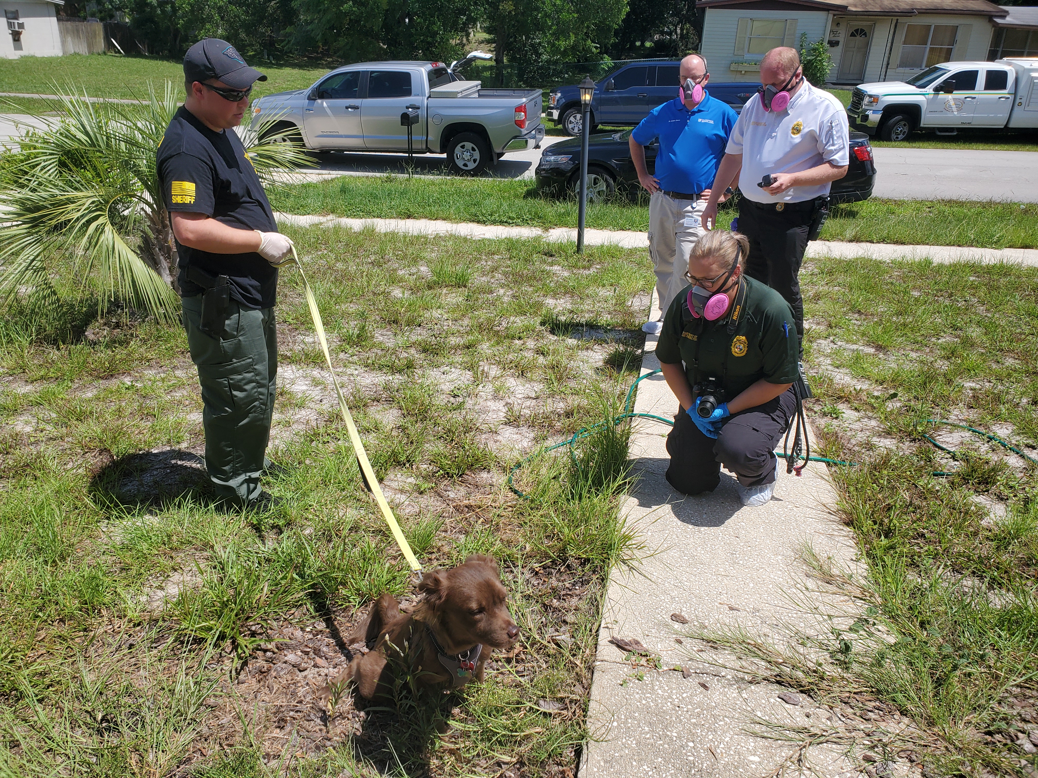 Deltona Man Arrested On Child Porn Charges; More Charges Pending In Sexual Abuse Of Dog Image