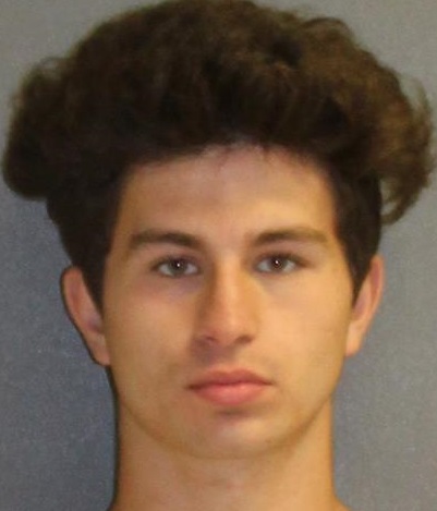 DeLeon Springs Man, 18, Charged With Stealing Van, Multiple Car Breaks Image