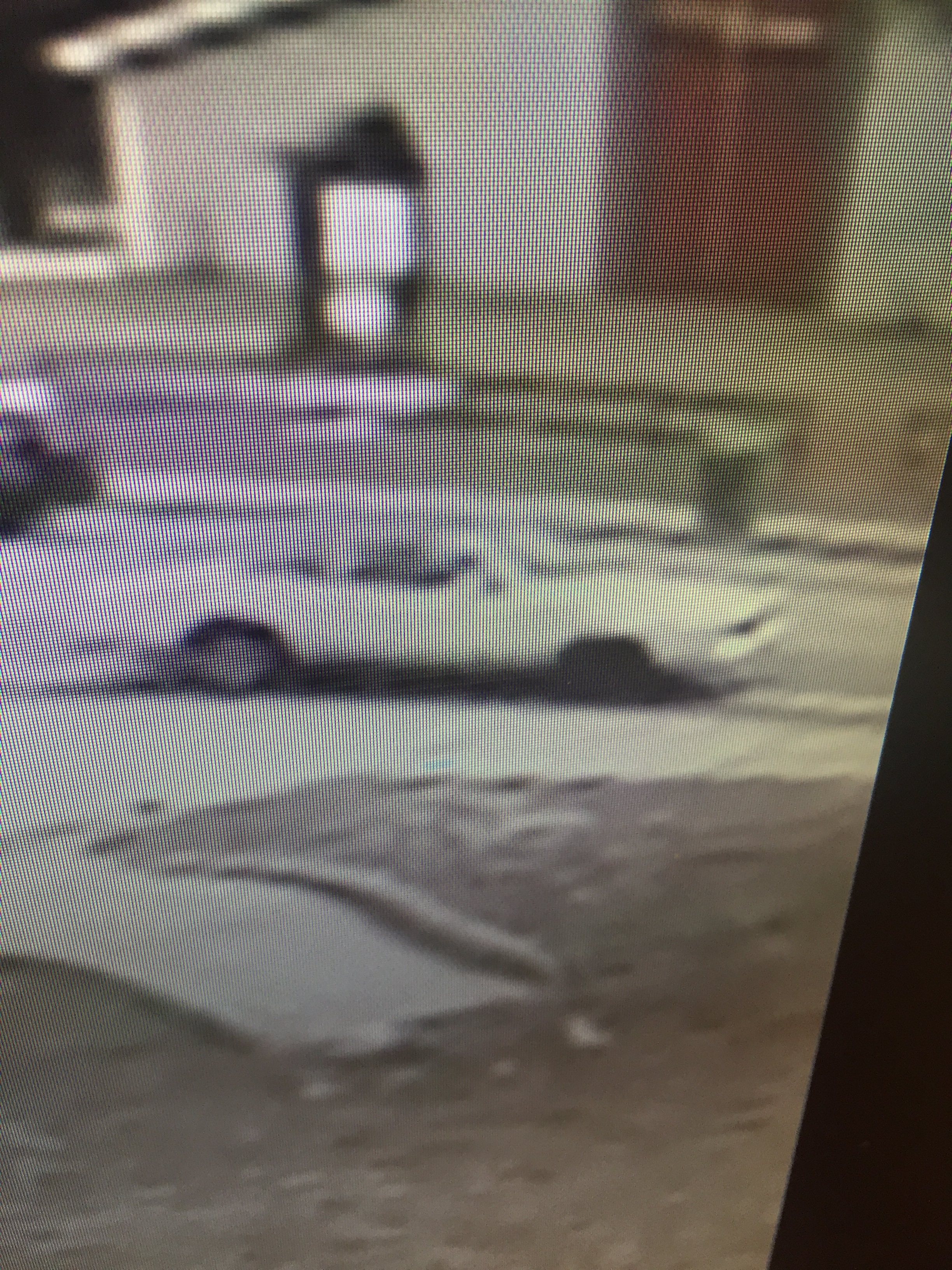 UPDATE: VCSO STILL Needs Public's Help to Find Hit-Run Driver Image