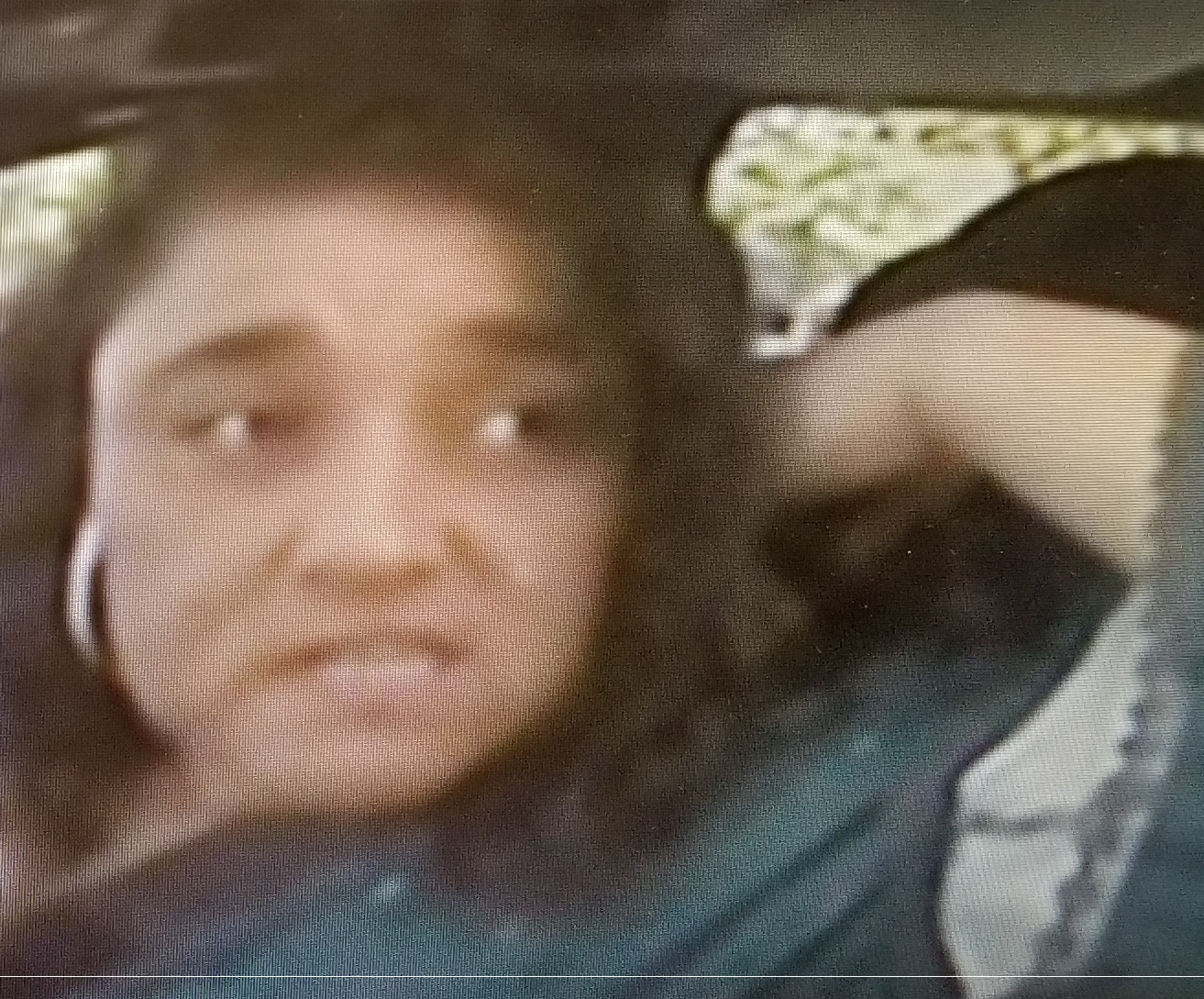 VCSO Seeks to ID Female Suspect Linked to Multiple Car Breaks Image